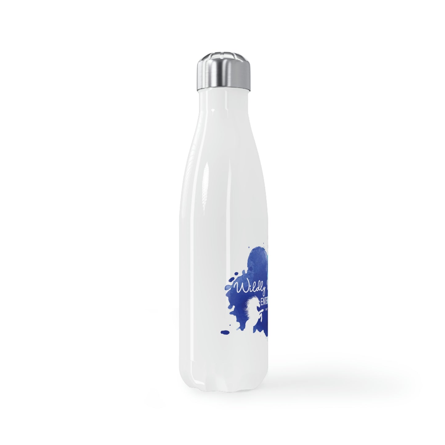 Stainless Steel Water Bottle, 17oz